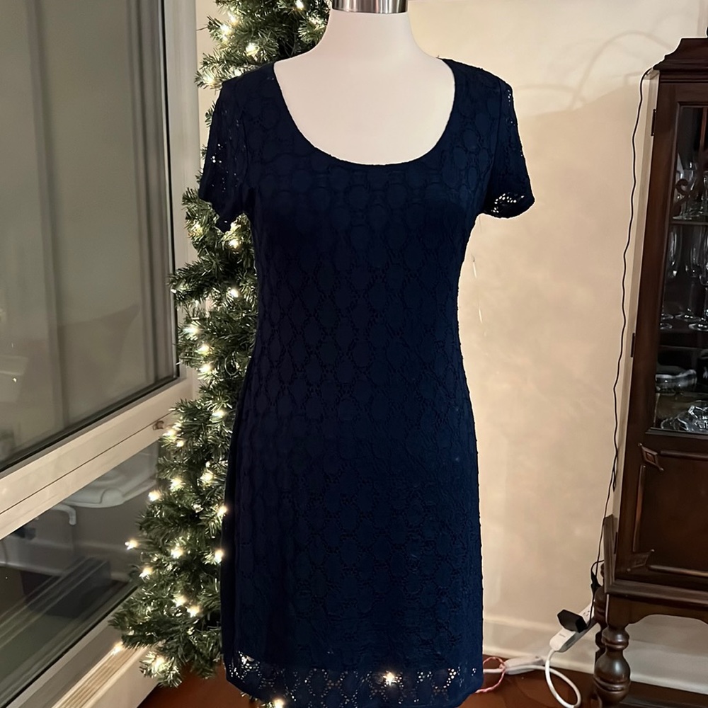 Issac Mizrahi Dress